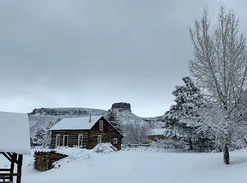 Passing 60%, Virtual Events, Live Music, and the Earth Day Collection