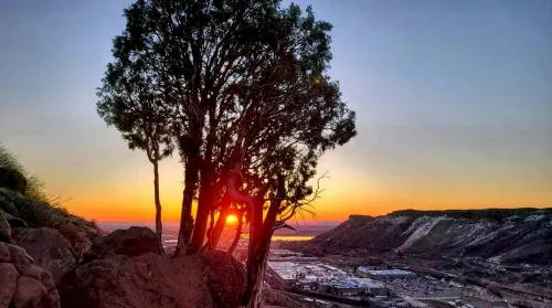 Coffee with Councilors, Walking Tours, Egg Hunts, and Lots of Music