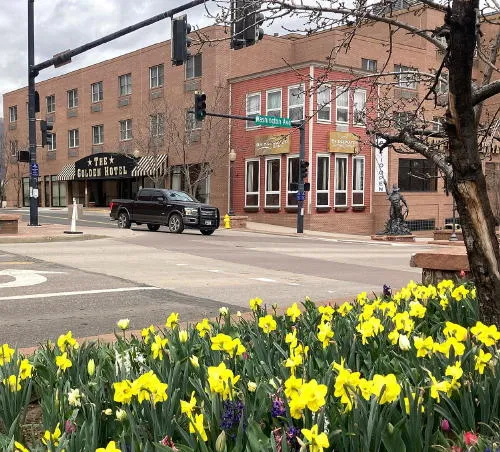 New Exhibit at Foothills Art Center, Distillery Celebration, and the Lasting Effects of Arbor Day
