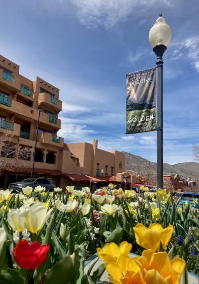 Tulips, Trains, and Building Permits