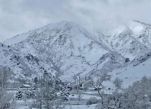 Happy Snowy New Year and January Preview