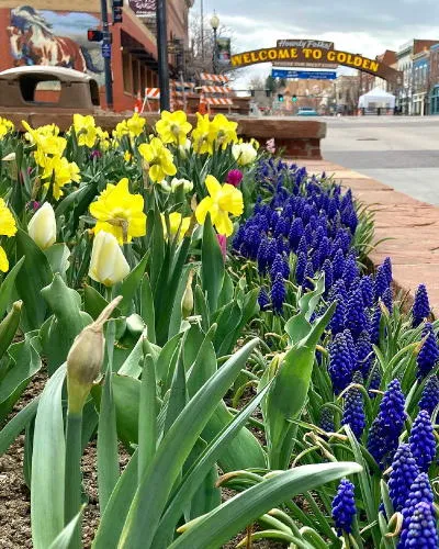 Container Gardening, Fenced-Off Parking Lanes, Astor House Addition, and More about the Coors Mansion