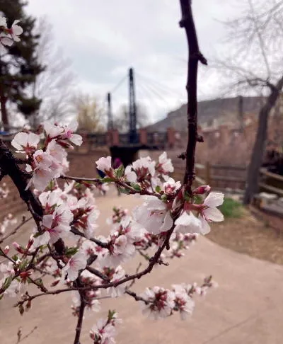 New Growth, More Property, Prime Rib, and Long-Held Secrets