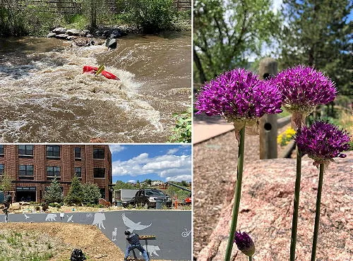 Mobile Home Park Meeting, City Council, a Spectacular Moon, and a Grisly Death