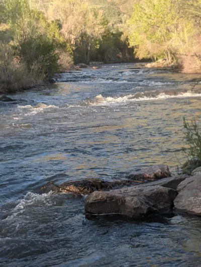 Plant Sale, Children’s Theater, Last Day for the Food Drive, and Geijsbeek Pottery