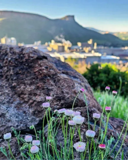 70.2% Vaccination Rate, Dinosaur Train, Homestead Day, The Splash Opens, Children’s Theater, the Doors, and Cautionary Tales from the Past