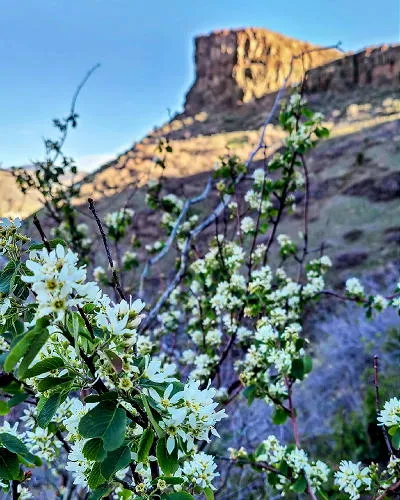 Financial Transparency, Colorado Water, a Concert at Miners Alley, and Celebrating Air Mail