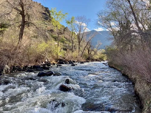 Vaccines for 12 and Up, Mines Commencement, New Exhibit Opens at Foothills Art Center, and Inspection Day Celebrations