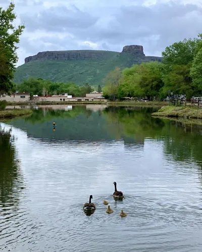 Creek Restrictions, City Council Candidates, Possible Building Moratorium, Probable Lodging Tax, 6th and Heritage, and the Gangs of Golden