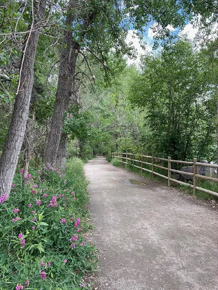 Paving Paradise, RTD Service Levels, “Houselessness,” CoorsTek Plans, and the Golden Flouring Mill