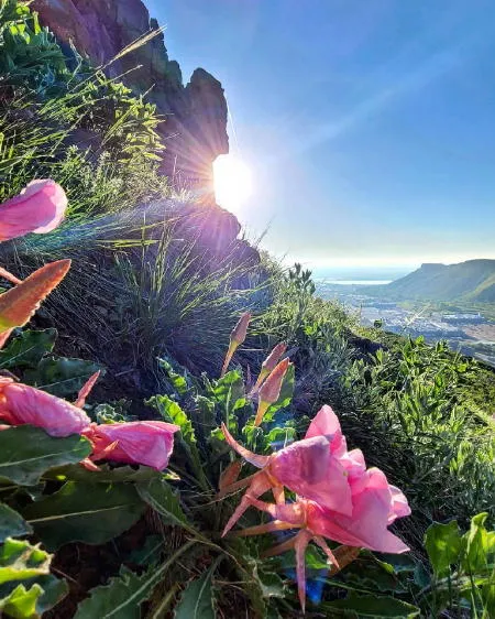 In-Person Public Art & EDComm, Virtual Planning Staff Office Hours, Biking, Running, Trivia, Bingo, Endless Music Options, and the Birth of a Dairy Queen