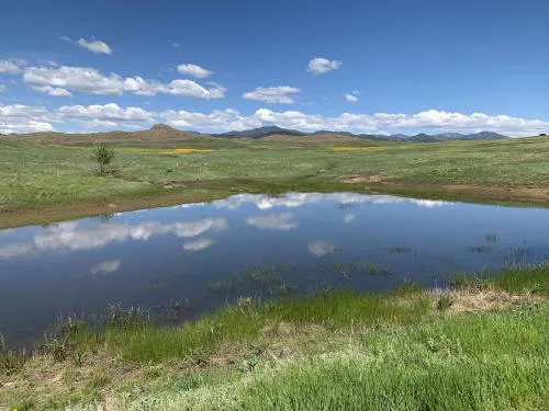 Opening Day for the Farmers Market, Choir Concert, Triceratops, Trains, Children’s Theater and Bricks