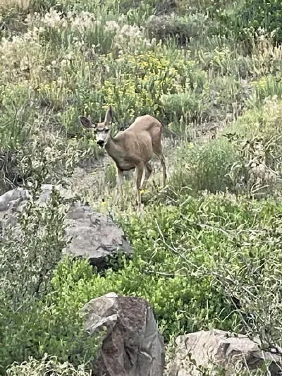 Hiking, Brunch, Music, and Flour