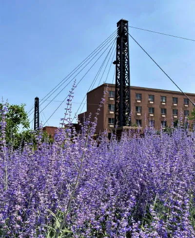 Cocktails with the Chamber, Plein Air Reception, the Ever-Shrinking Coors Building, Construction Moratorium,  Lodging Tax, MJ Sales, Homelessness, Street Food, and a Flood that Washed Away a Railroad