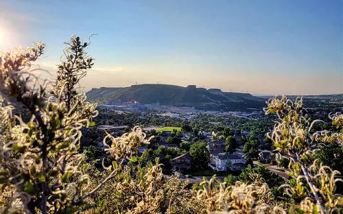 Weekly COVID Stats, 2 Vaccine Clinics, Peach Time, Prime Rib, City Council, and Dirty Movies