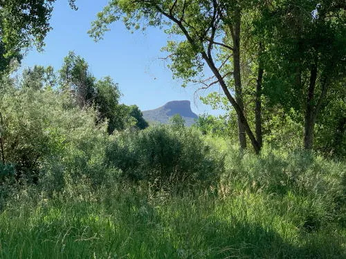 CoorsTek Plans, Residential Property Issues, and a Railroad Building that Lasted Nearly a Century