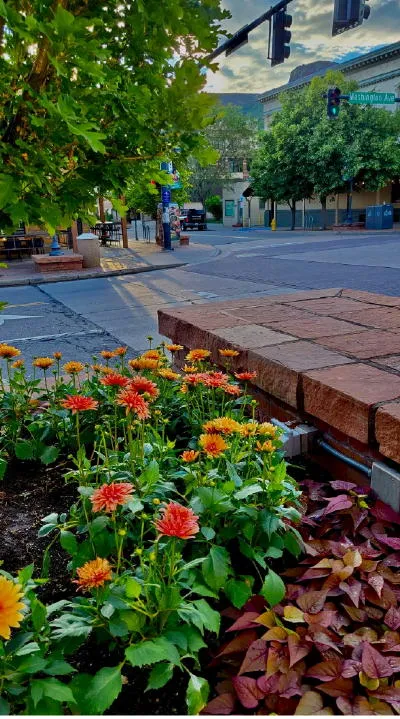 Art Festival, Double Geology, Bike Open House, and a Major Fire