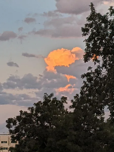 Evening Eye Candy on Eighth, Monthly Appeal, and the End of the Parking Saga