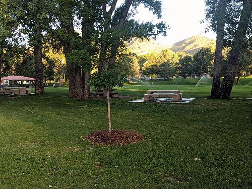 Weekly COVID Stats, Clear Creek Opinions, Schweich Hill, Citywide Broadband, Cooking on the Sidewalk, and a Railroad Shopping Trip