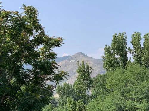 City Council Election, Coors Boycott, Watercolor and Wine, and Razing the Roundhouse