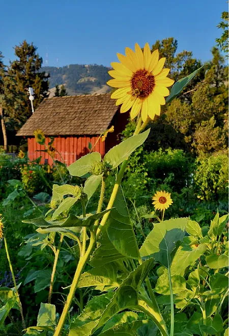 Coffee with Councilors, Golden Super Cruise, and the Before the History Park