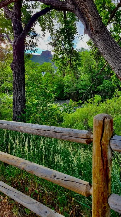 Criminal Investigations, Sustainability, Ghost Hunters, and a Homicide