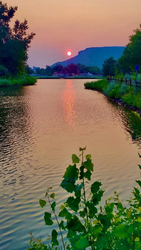 Artist Meet-Up, Rails & Cocktails, Alibi, Art Rocks, Tomorrow’s Gardens, and Historic Blunders