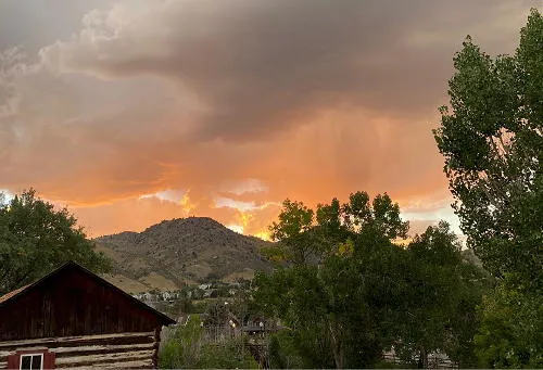 Coffee with Councilors and Other Recreational Options