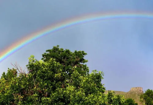 Tobacco Silks, Wilderness First Aid, Compass Skills, Swing Night, and Fire Hazards