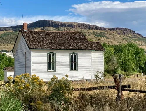 VIBE @ Five, Early Years of CSM, PRAM Board, 5th Anniversary at New Terrain, and New Exhibit Opening at Foothills Art Center