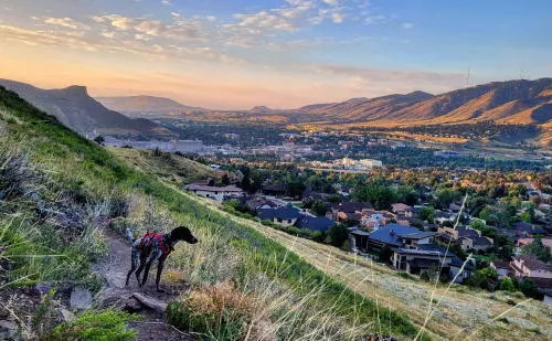 Vaccines for People & Pets, Music, a Play, and Another Mishap on Castle Rock