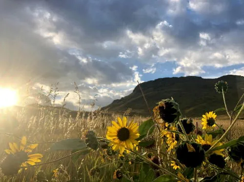 Tax Revenue, Spyderco, Pride Days, and Shots Fired