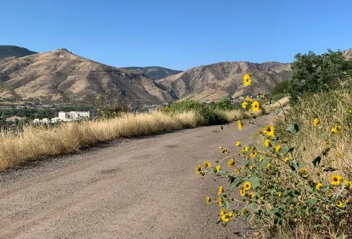 Meyer Hardware Now 80% Off, Hiring Fair Today, COVID Stats, Indigenous Lands, Broadband, Affordable Housing, Steve Glueck’s Job, and Mail Delivery