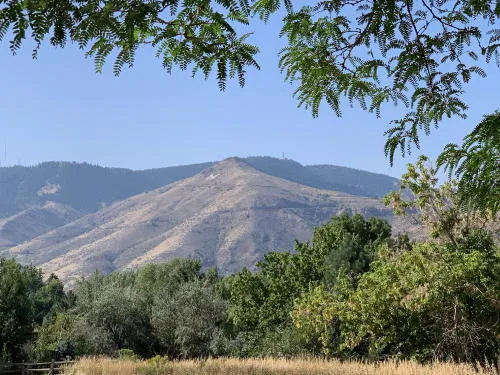 Live Music, New Mural, and Powering Coors