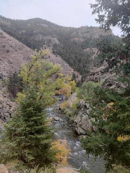 Ballot Issues, Build-a-Nicho, SERI, NREL, and Jimmy Carter