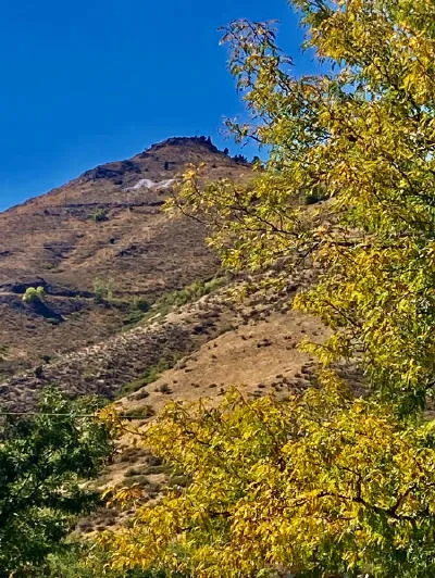 Autumn Fest, Oktoberfest, Live Music, and Basic Compass Skills