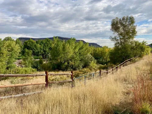 Weekly COVID Update, Live Library, Fooz Fighters, and Former Farmland