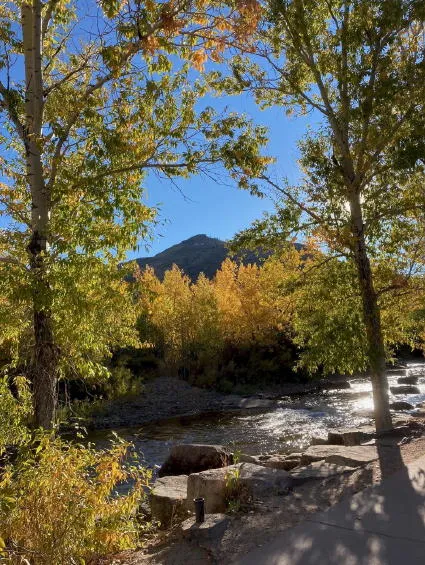 Chamber Happy Hour, Parenting in a Pandemic, Continued Outdoor Dining, Brickyard House, Traffic Cams, Open Records, Weekly COVID Stats, and the Death of a Pioneer