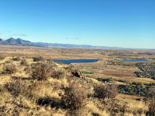 Many Tours, Lots of Music, and a Change in Government