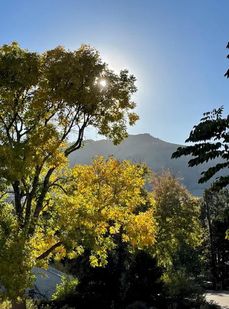 Coffee with Council Candidates, JSO Season Opener, and Deciding to Build a Highway