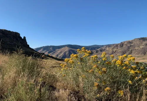 The Crucible Opens Tonight, Fooz Fighters, Mortuary Expansion, and Lyft Deal for Hikers