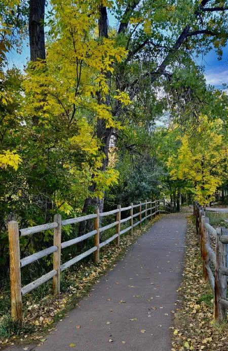 Sunday at the Quilt Museum, Exhibit Closing at Foothills Art Center, Scout Day at Dinosaur Ridge, Afternoon Performance of The Crucible, and Swing Night Supper Club