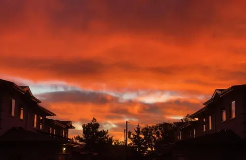 A Calendar, a Map, a Lecture on Addiction, Music, and The Crucible