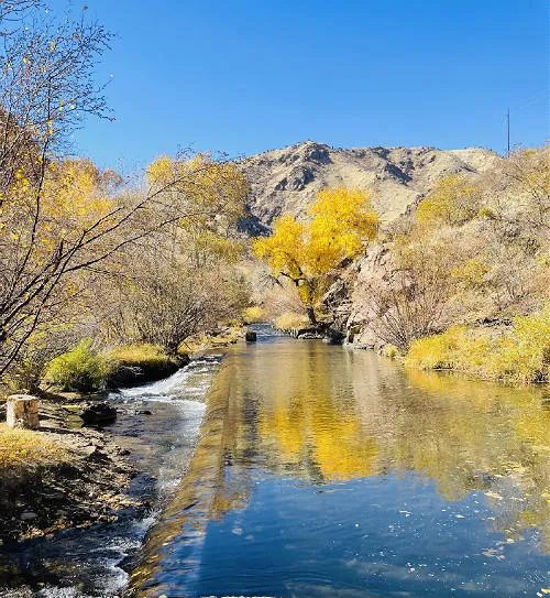 Bidding with Bond, Bobcat – Part 2, Hidden Treasures, More Frontier Justice, and Preview of November Events