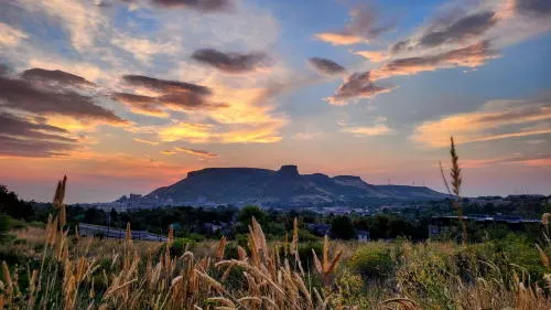 Election Results, Board Game Design, Wards & Districts, and Growth Over Time