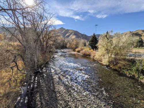 Textiles, Music & Auction