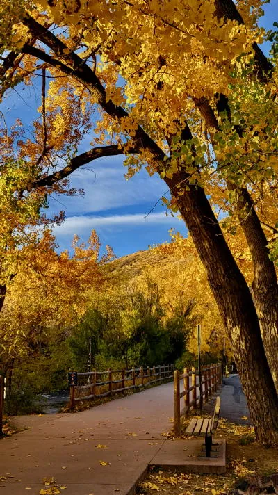 Election Day, COVID Stats, and a Trainwreck