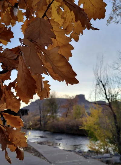 Budget Review, Veterans Day Preview, and the Overland Hotel