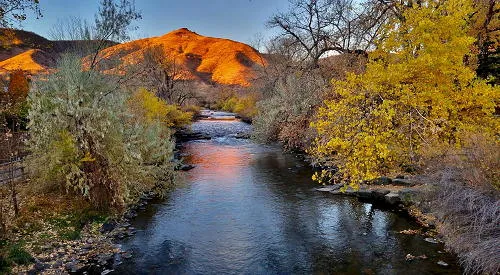 Using the Legacy Fund and Needing a Tannery