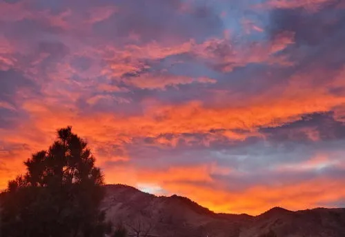 Colorado Gives Day, Many Public Hearings, COVID Stats, and Stagecoaches